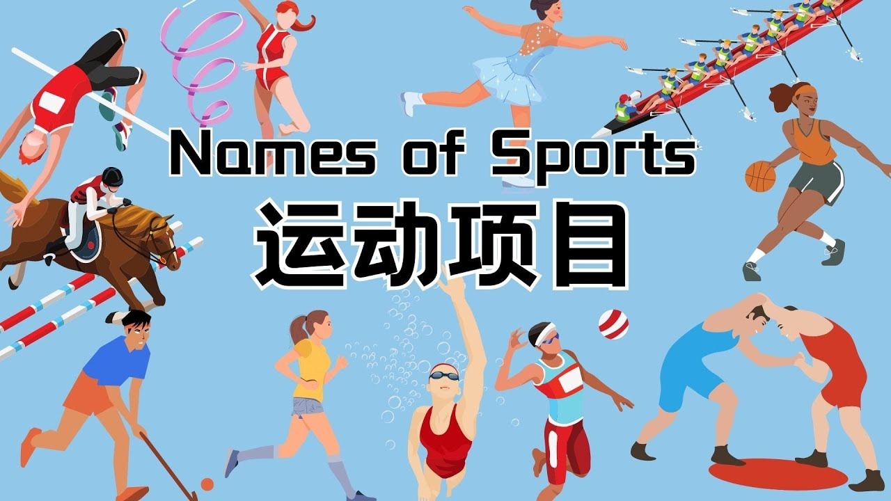 MLB联盟组织效率分析