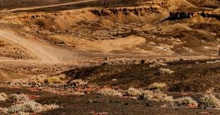 女篮又冒出一天才中锋？身高2米12酷似韩旭