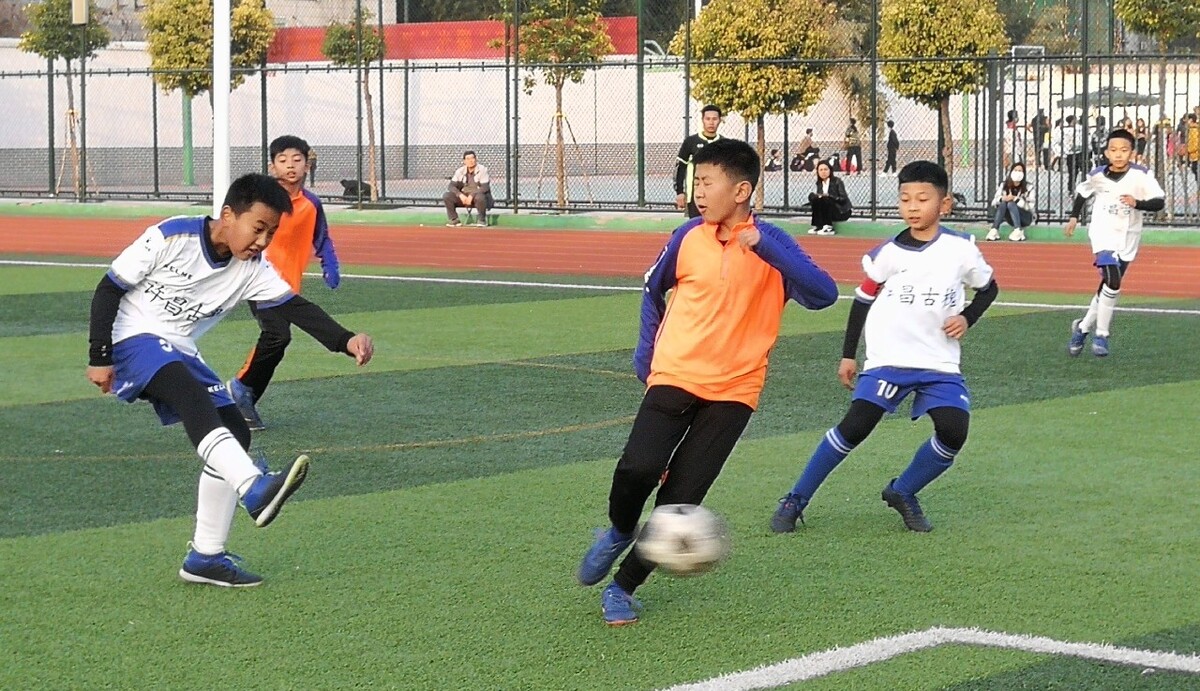 猛龙队因为 猛龙队因为